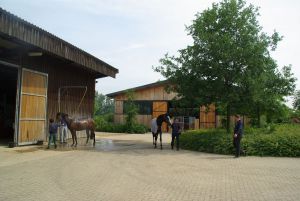 Die Führanlage von außen und Pferde unter der Dusche ... www.dequia.de