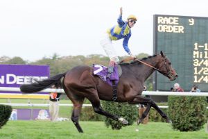 Shirocco mit Christophe Soumillon gewinnt den Breeders' Cup Turf 2005. www.galoppfoto.de - Frank Sorge