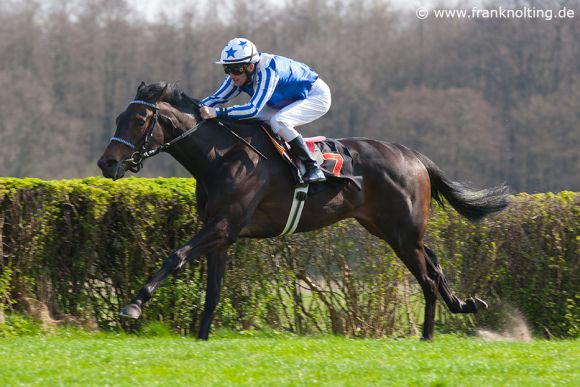 Shy Angel 2017-04-02 Hoppegarten Foto: Nolting