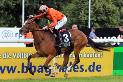 Auf dem Weg zum 162. Henkel-Preis der Diana: Tabera gewinnt mit Alexander Pietsch das BBAG Diana Trial. www.galoppfoto.de - Stephanie Gruttmann