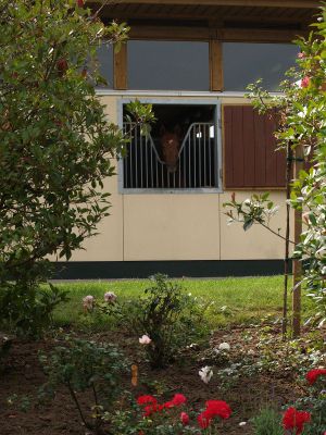 Die Stallungen - Boxen mit Aussicht für Ustilago. www.dequia.de