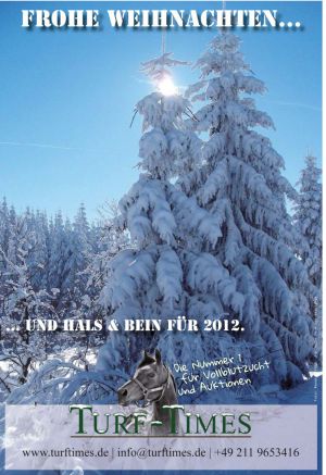 Weihnachten 2011