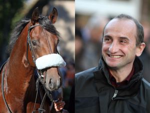 Trainer Roland Dzubasz fightet um Championats-Punkte, sein Flamingo Star läuft im Ratibor-Rennen