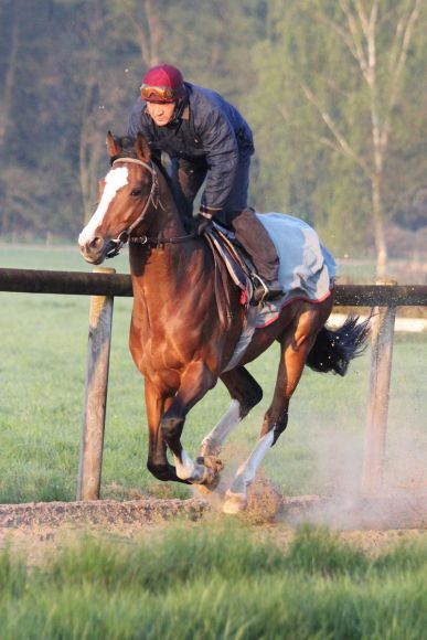 Earl of Tinsdal April 2011