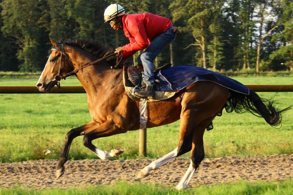 Earl of Tinsdal 2012 August