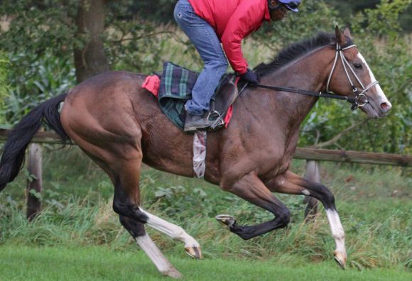 Earl of Tinsdal 2011 September