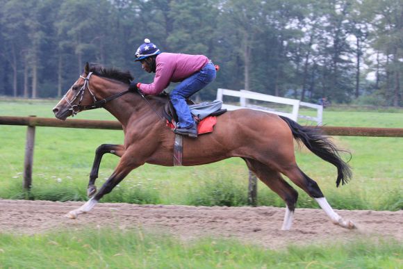 Earl of Tinsdal 2011 Juli 