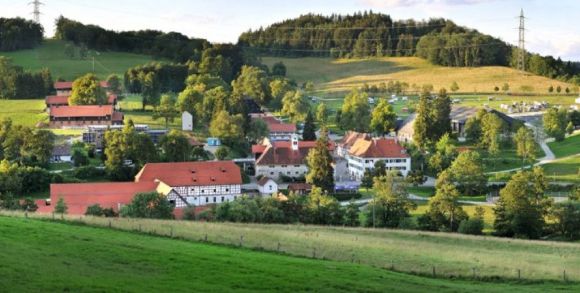 Haupt- und Landgestüt Marbach Sommer 2011  Foto: Kube