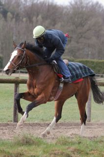 Earl of Tinsdal im März 2011