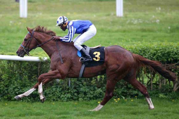 Yaa Salaam 2017-05-14 Hoppegarten  Foto: Rühl